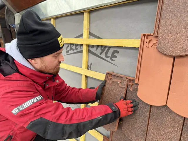 Réfection complète d'une toiture à Strasbourg — photo 4 sur 15