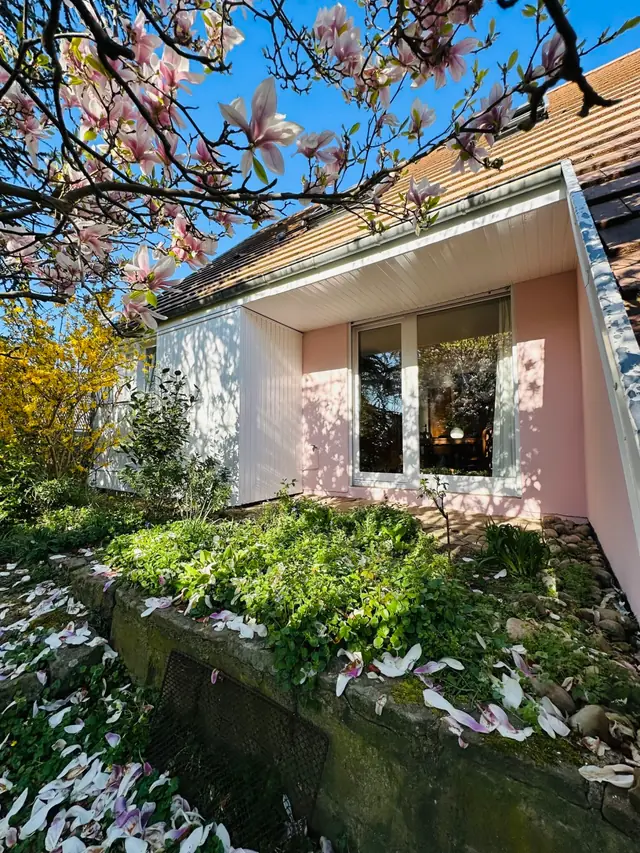 Rafraîchissement complet à Stutzheim-Offenheim — photo 12 sur 12